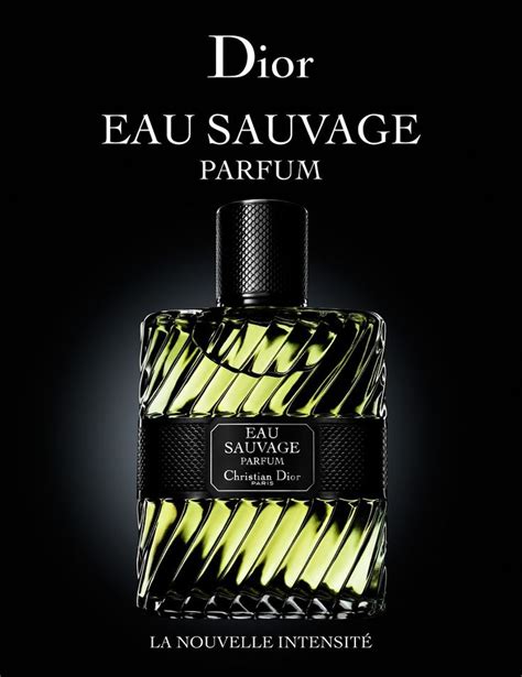 dior sauvage uniseks geur|françois demachy dior.